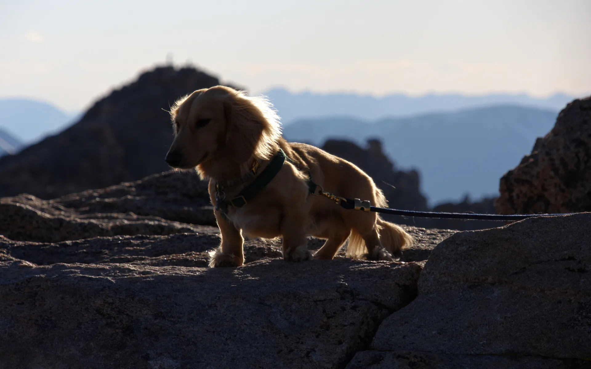 Black Canyon
of the Gunnison - photo 5