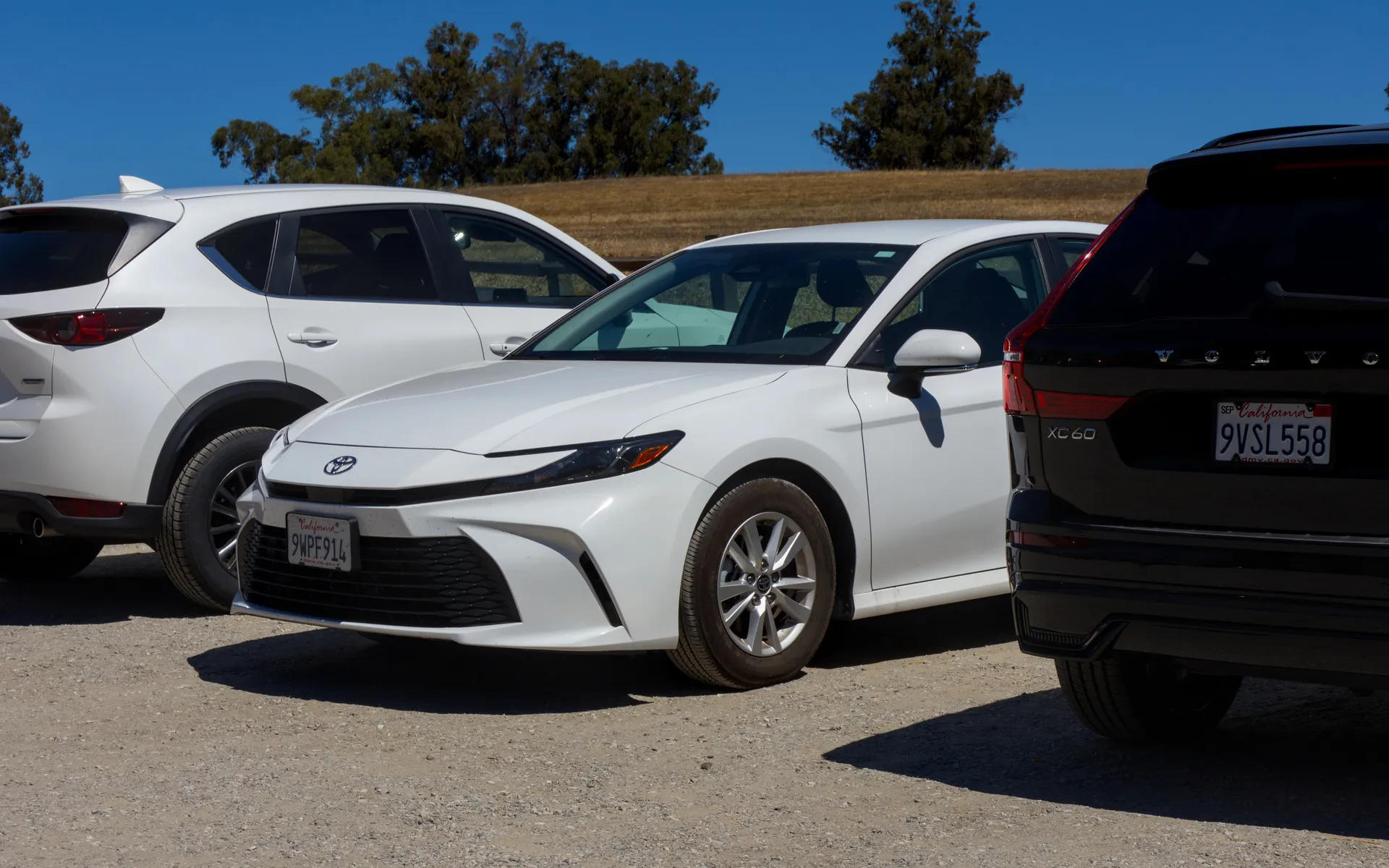 Arastradero - photo 2