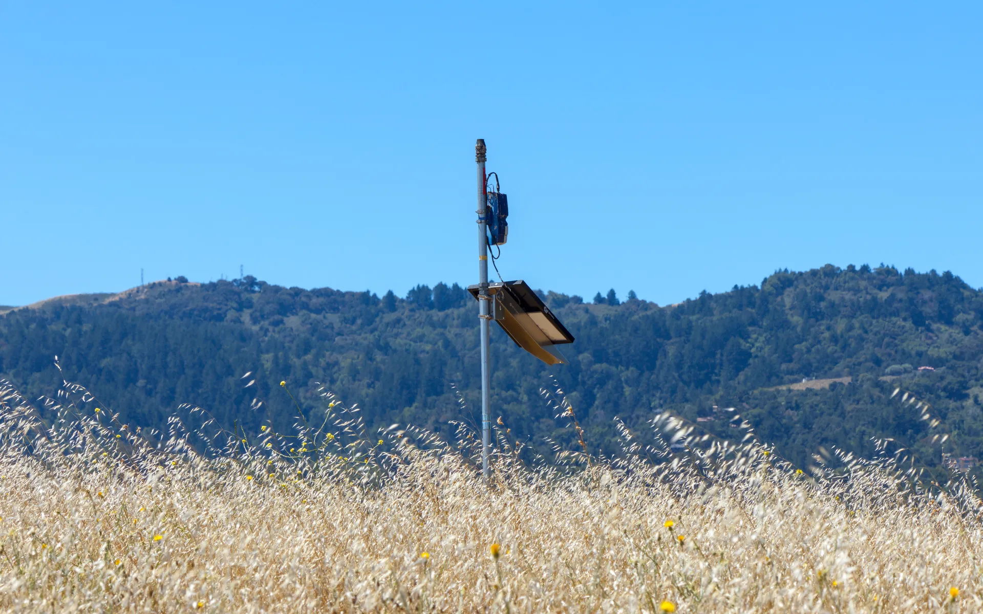 Arastradero - photo 4
