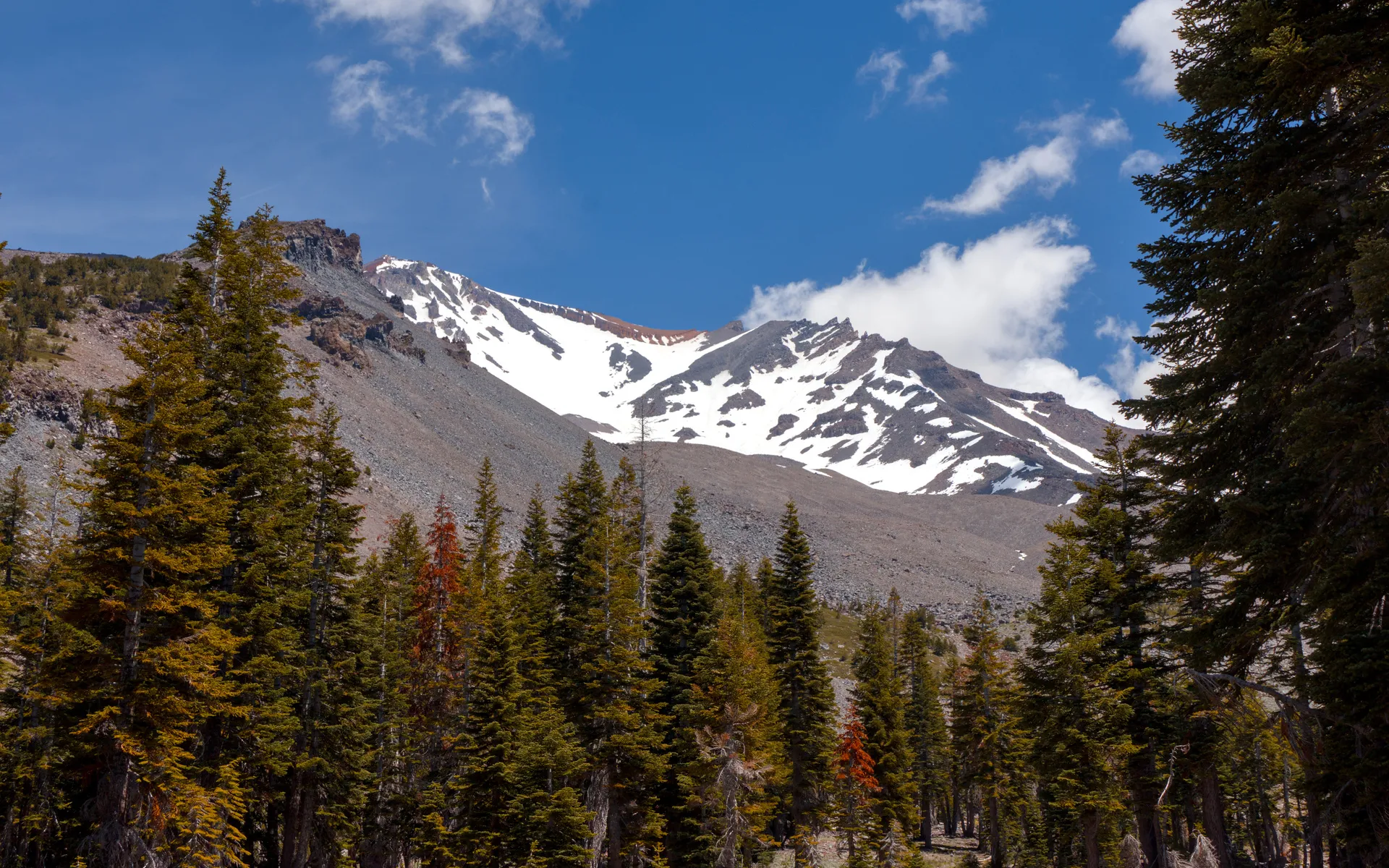 Mount Shasta - photo 2