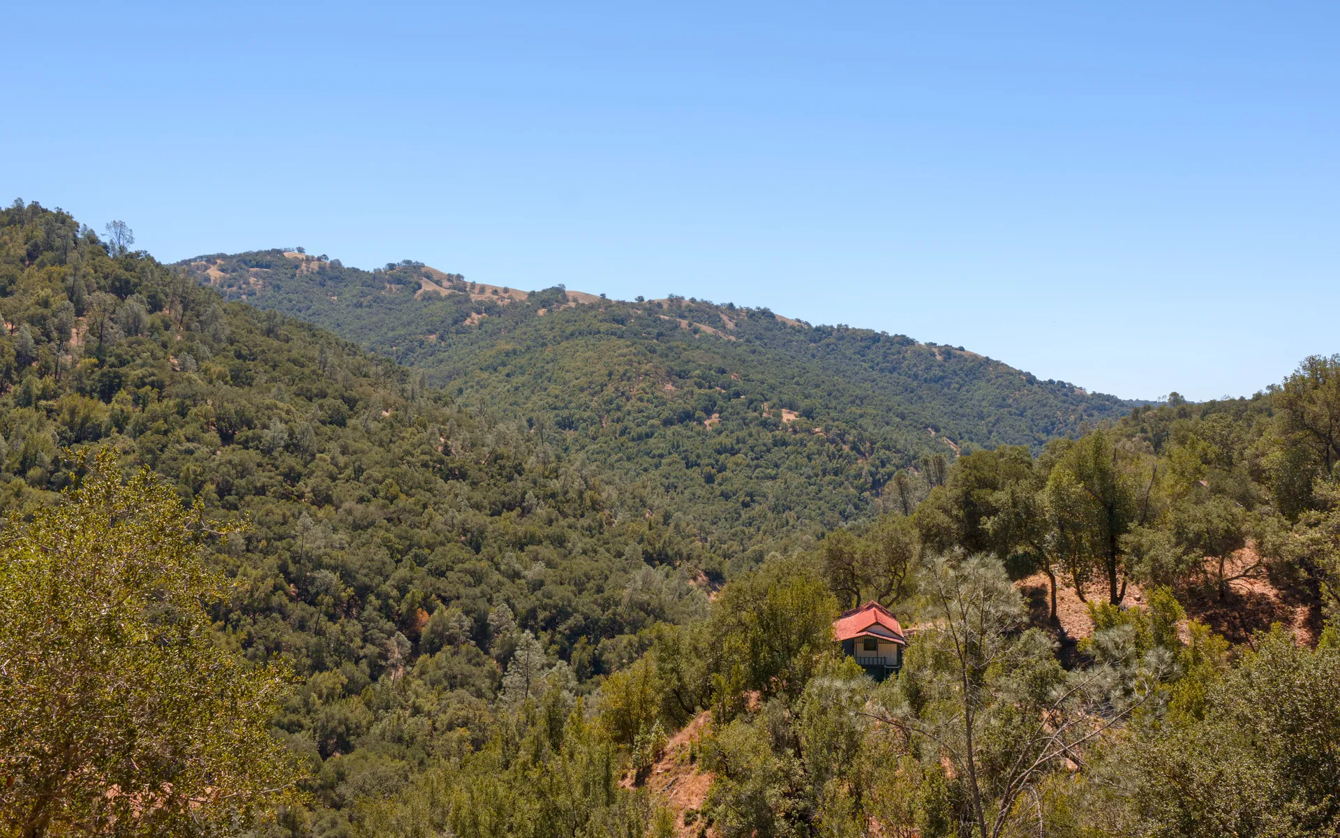 Gilroy Yamato
Hot Springs - photo 2