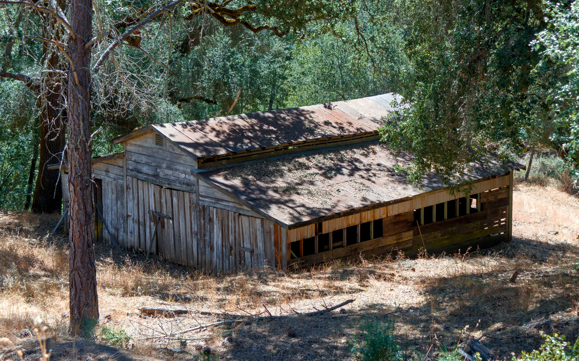 Gilroy Yamato
Hot Springs - photo 5