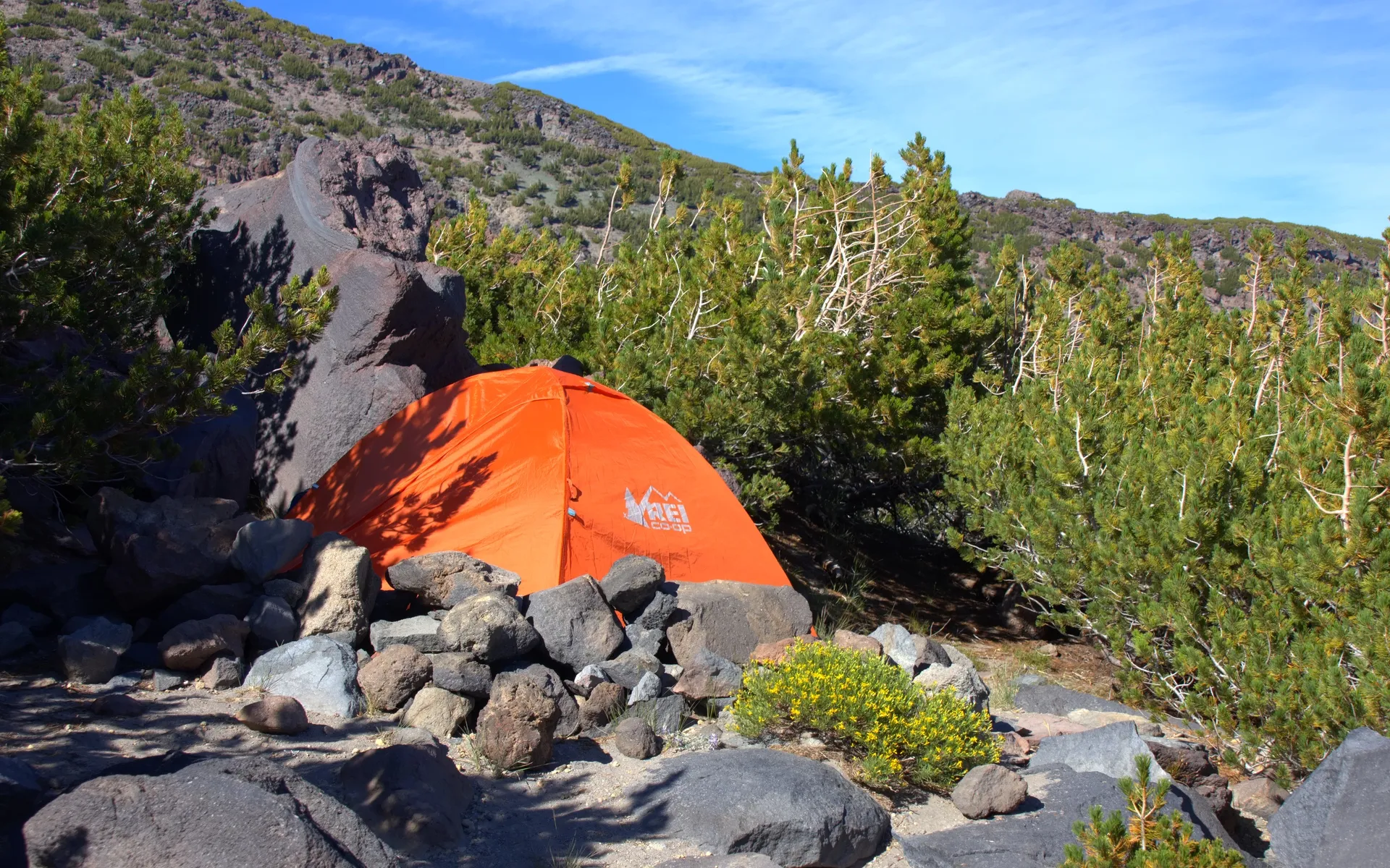 Mount Shasta
Summit - photo 5