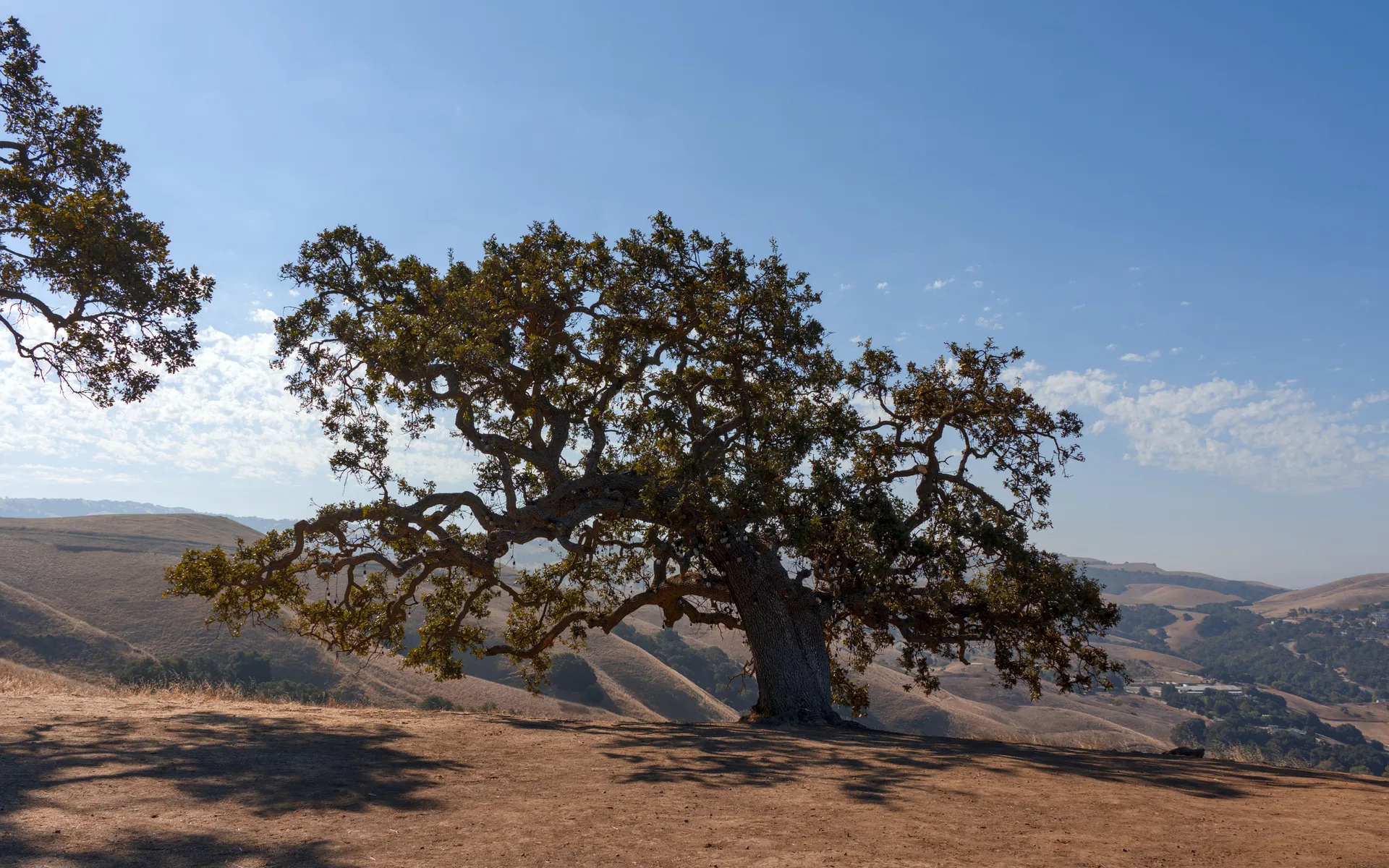 Dragon Mountain - photo 3