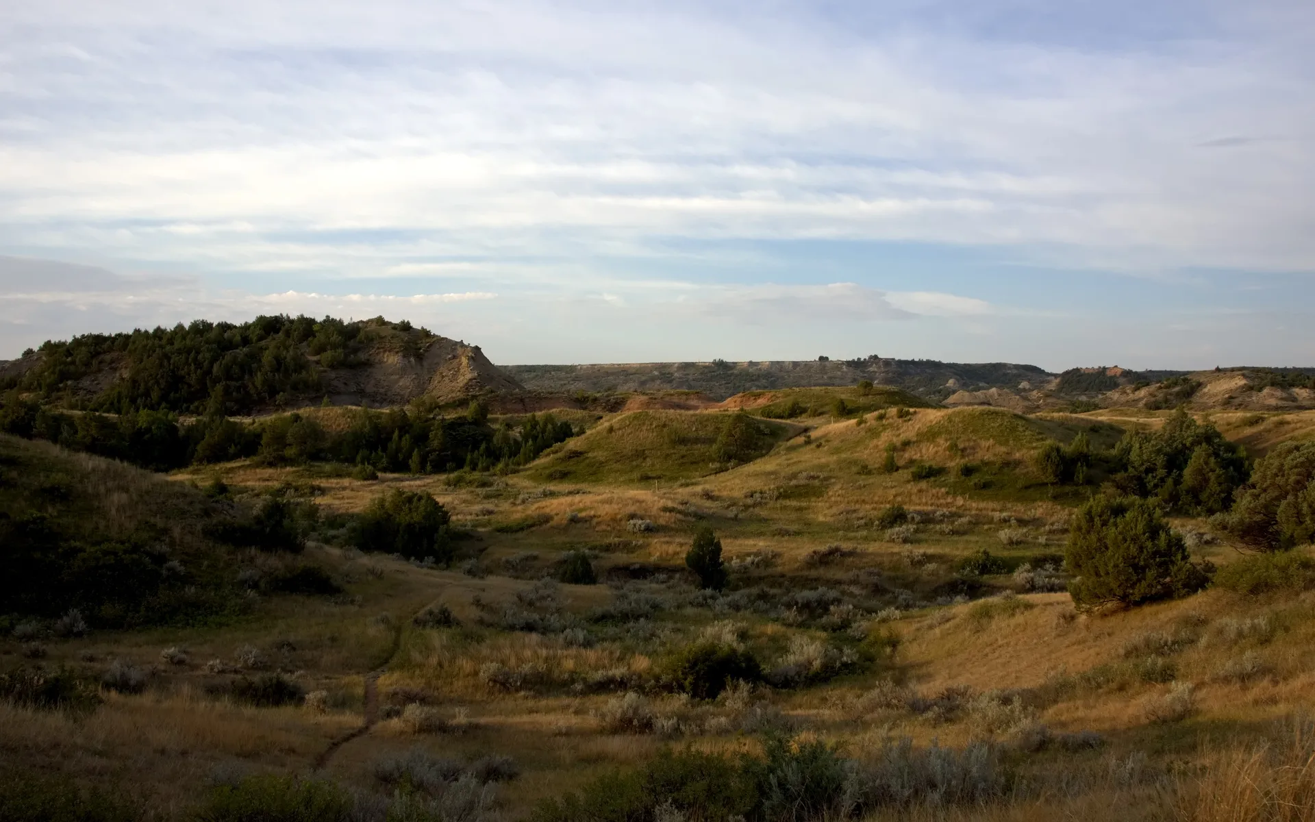 Theodore Roosevelt - photo 4