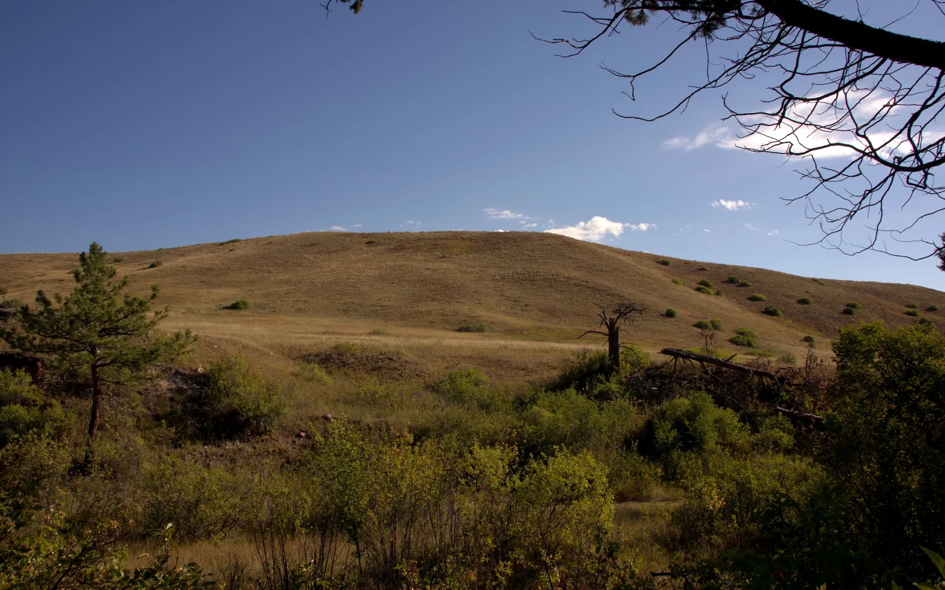 Wind Cave - photo 1