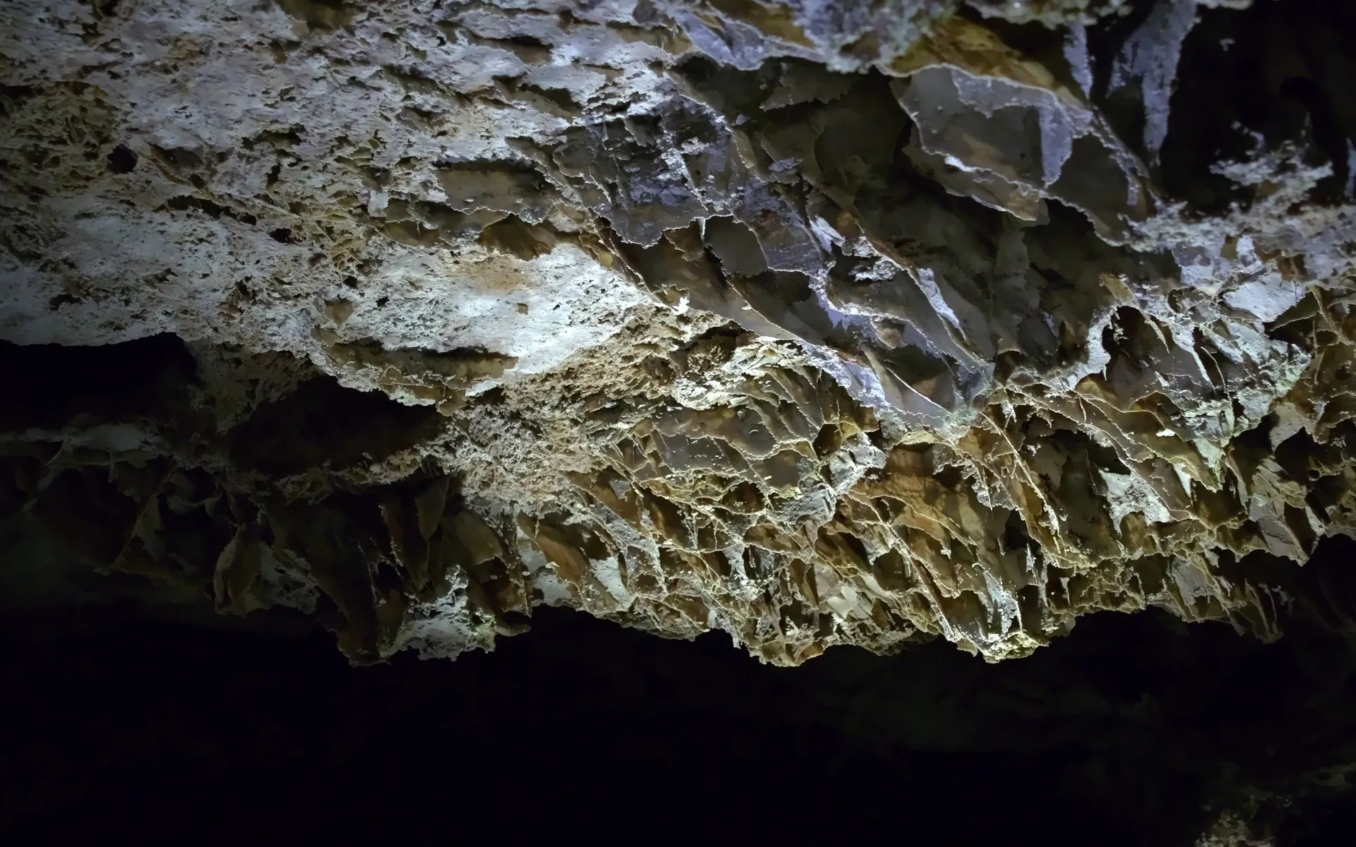 Wind Cave - photo 2