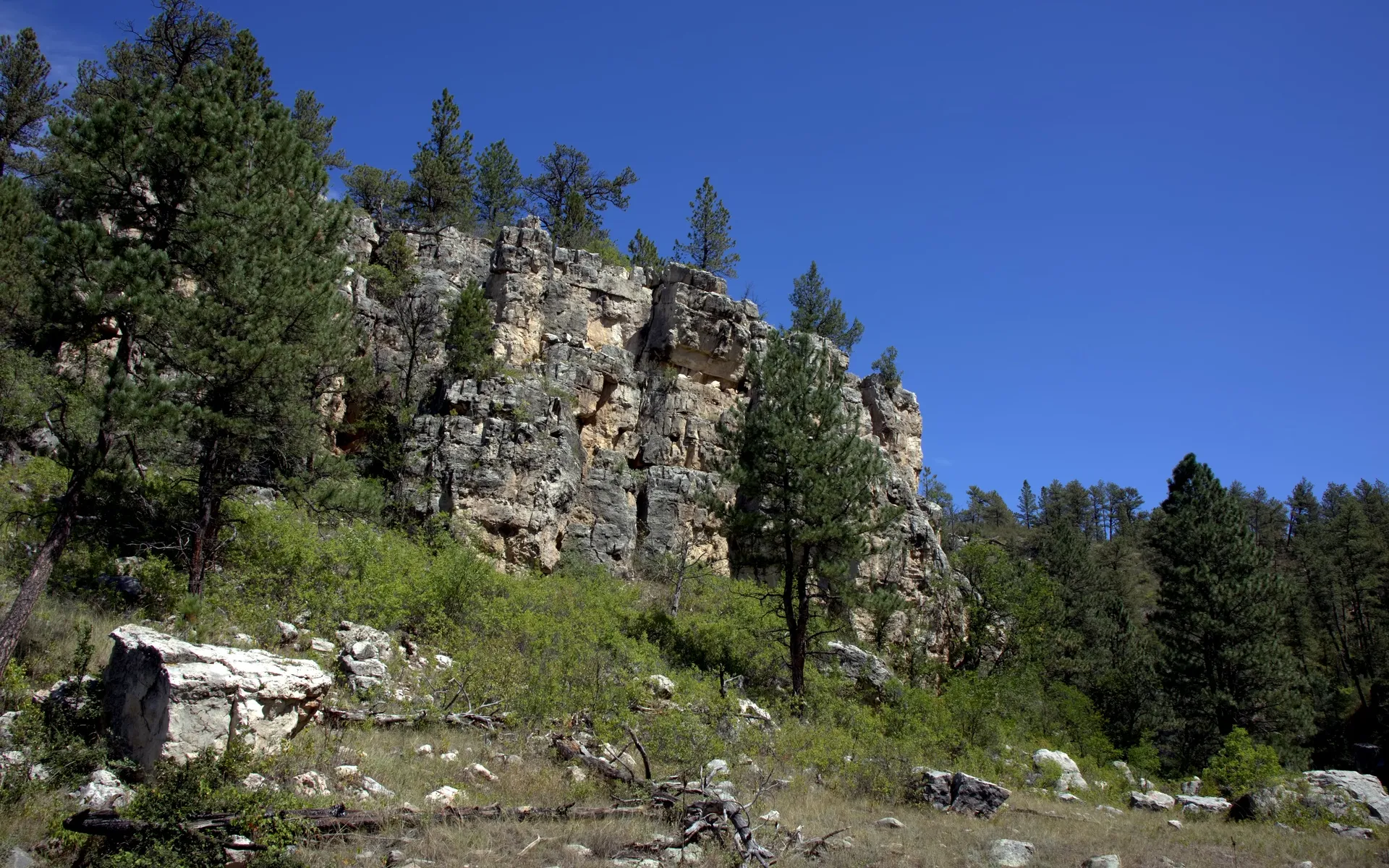 Wind Cave - photo 4