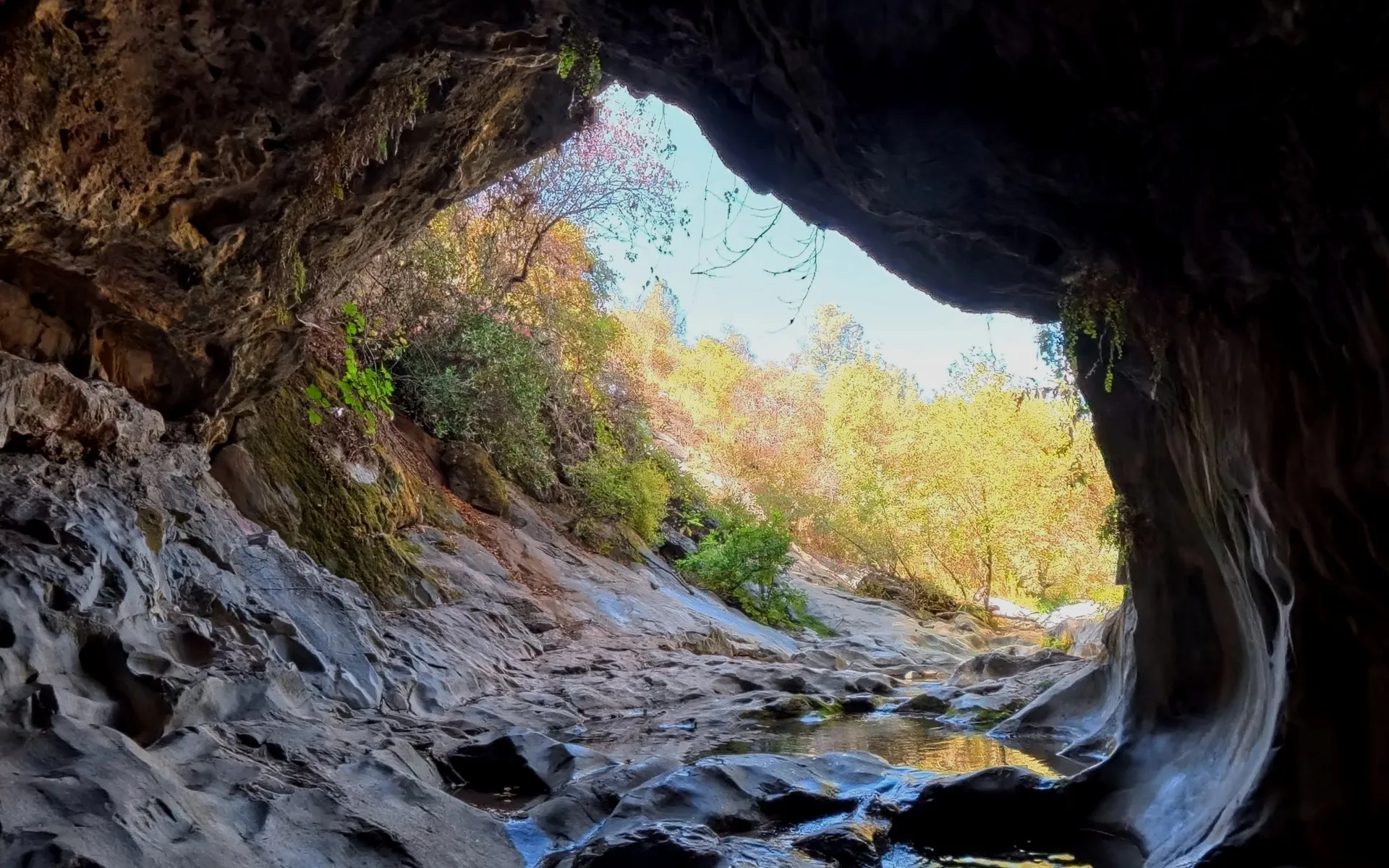 Natural Bridges - photo 1
