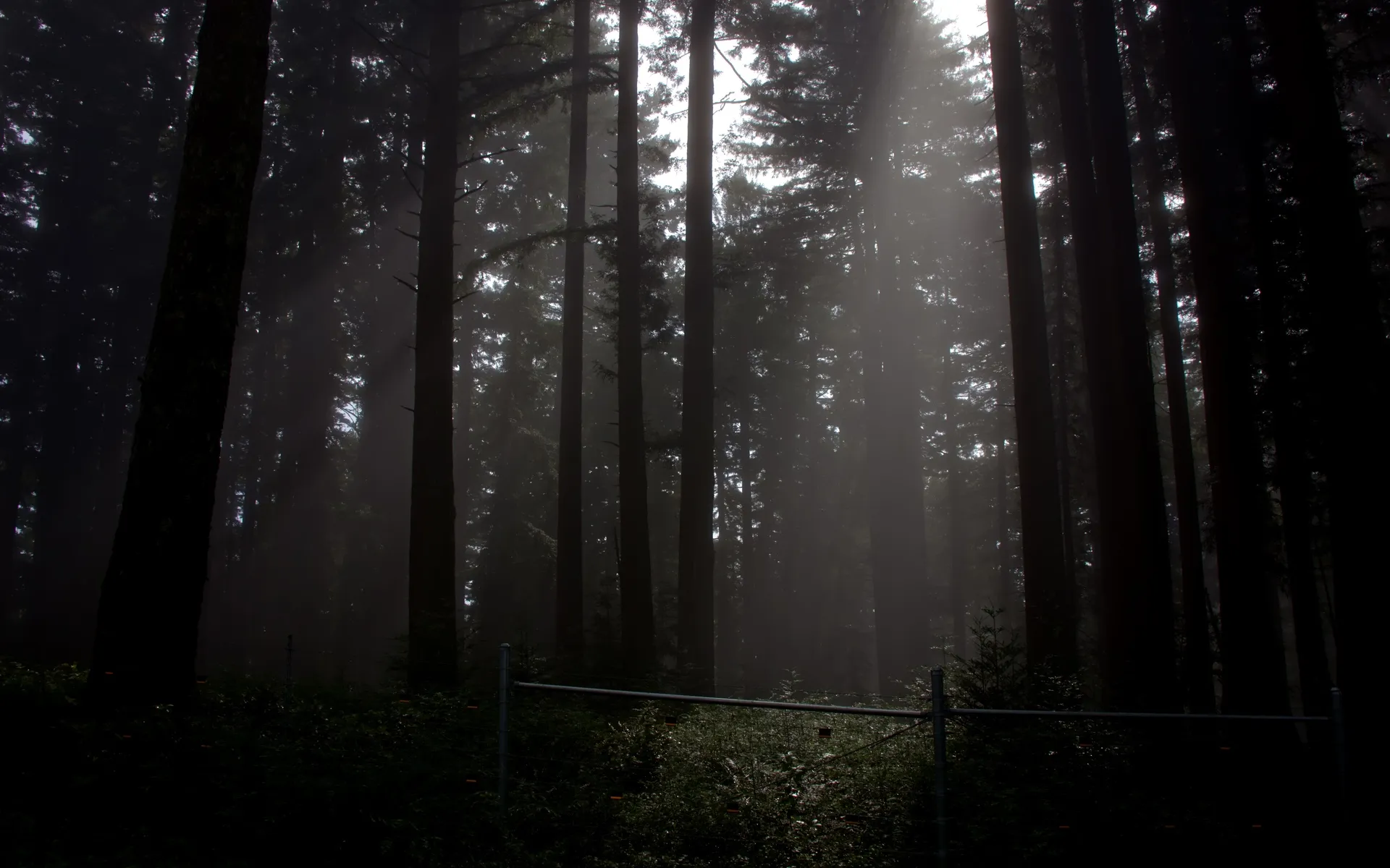 Skyline Watershed - photo 3
