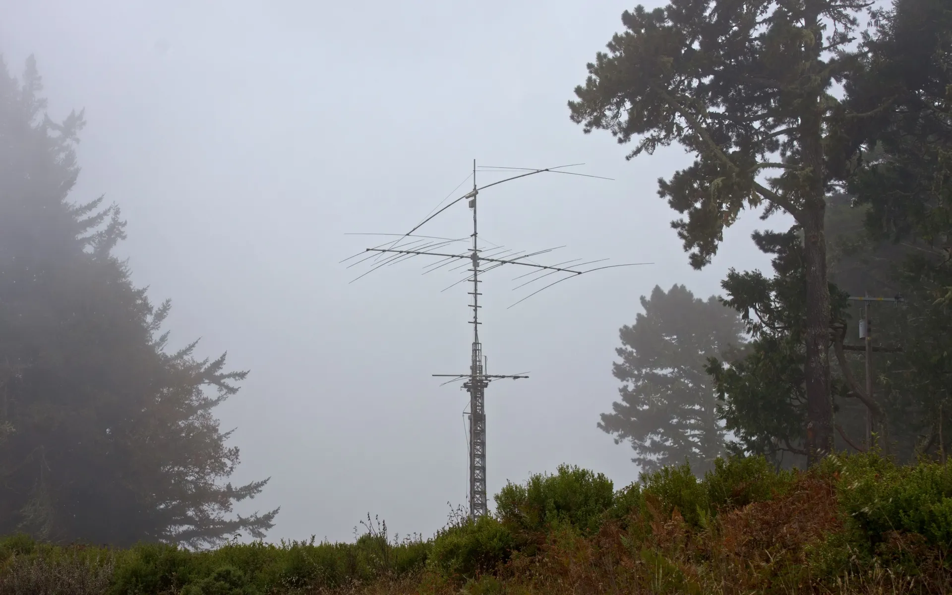 Skyline Watershed - photo 4