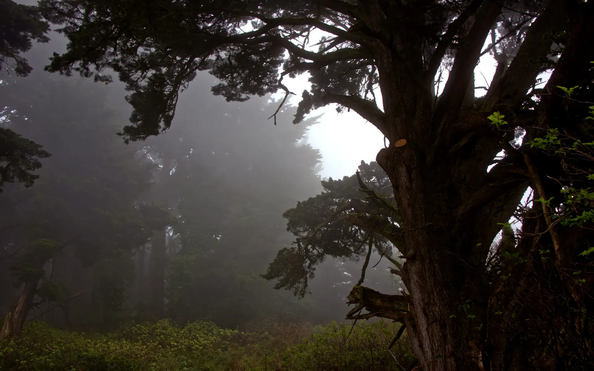 Skyline Watershed - photo 5