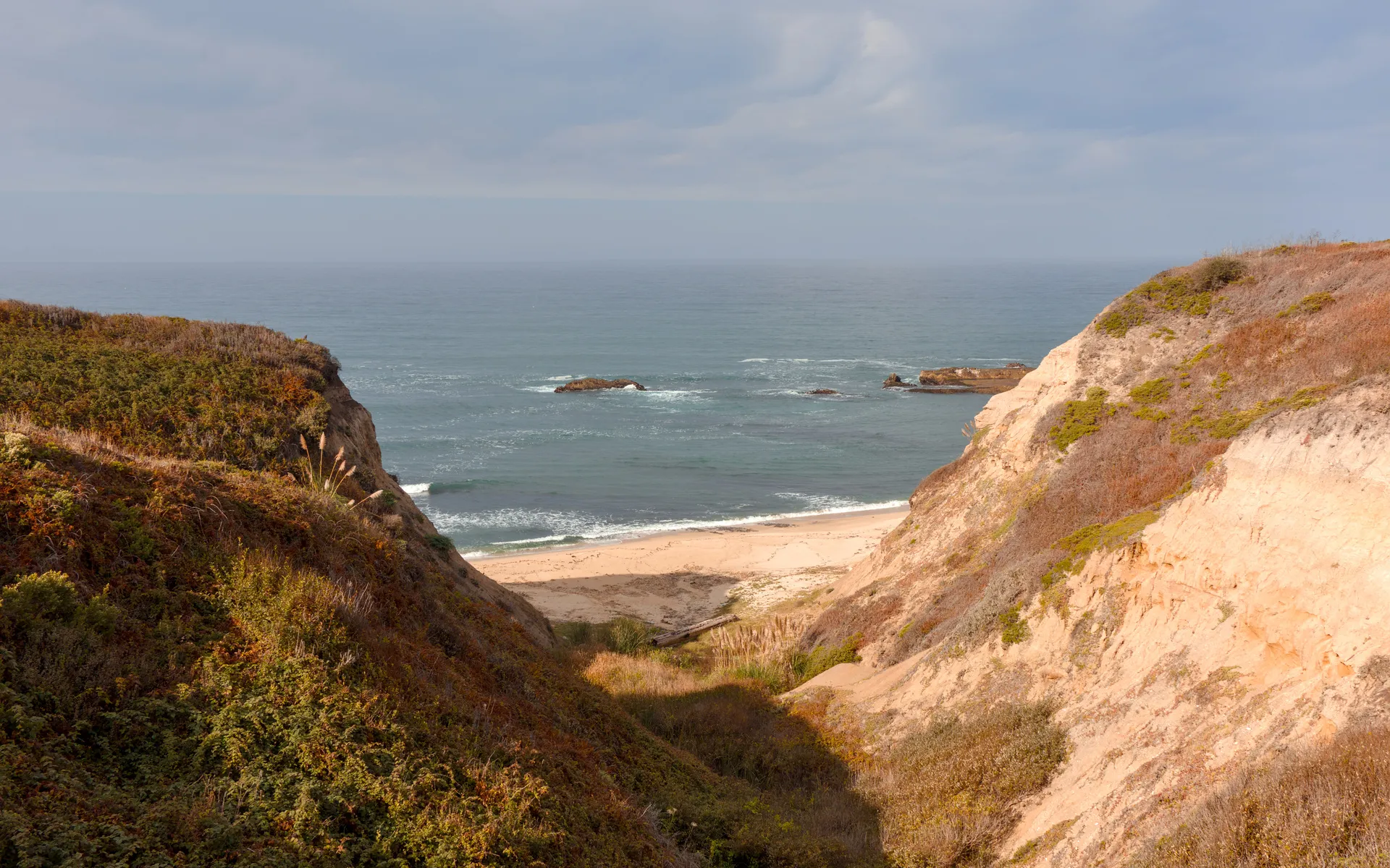 Cowell-Purisima - photo 3